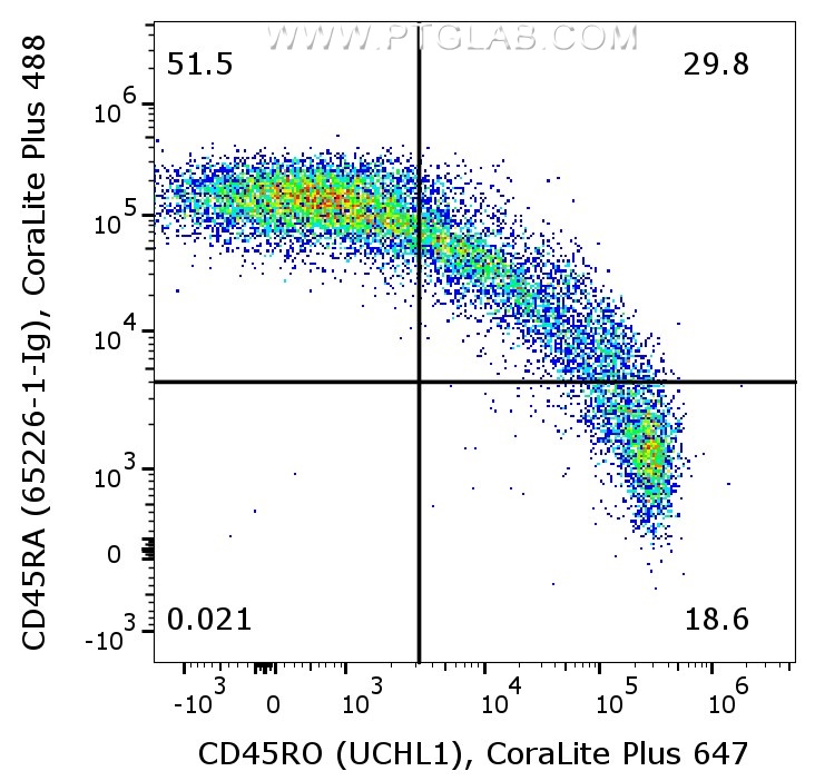 1X10^6 human PBMCs were surface co-stained with CoraLite® Plus 647 Anti-Human CD45RO (CL647-65150, Clone:UCHL1), and Anti-Human CD45RA (65226-1-Ig, Clone:F8-11-13) labeled with FlexAble 2.0 CoraLite® Plus 488 Kit (KFA521). Cells were not fixed. Lymphocytes were gated.
