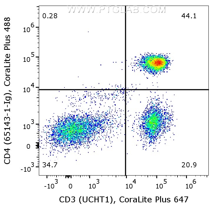 1X10^6 human PBMCs were surface co-stained with CoraLite® Plus 647 Anti-Human CD3 (CL647-65151, Clone:UCHT1), and Anti-Human CD4 (65143-1-Ig, Clone:RPA-T4) labeled with FlexAble 2.0 CoraLite® Plus 488 Kit (KFA521). Cells were not fixed. Lymphocytes were gated.
