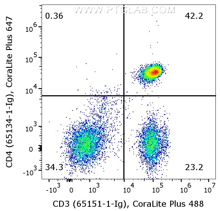 1X10^6 human PBMCs were surface co-stained with Anti-Human CD20 (65085-1-Ig, Clone:2H7) labeled with FlexAble CoraLite® Plus 647 Kit (KFA563), and Anti-Human CD45 (65109-1-Ig, MsIgG1 Clone:HI30) labeled with FlexAble CoraLite® Plus 488 Kit (KFA521). Cells were not fixed. Lymphocytes were gated.