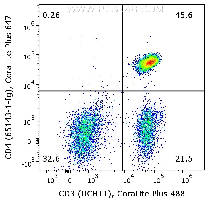 1X10^6 human PBMCs were surface co-stained with CoraLite® Plus 488 Anti-Human CD3 (CL488-65151, Clone:UCHT1), and Anti-Human CD4 (65143-1-Ig, Clone:RPA-T4) labeled with FlexAble 2.0 CoraLite® Plus 647 Kit (KFA523). Cells were not fixed. Lymphocytes were gated.
