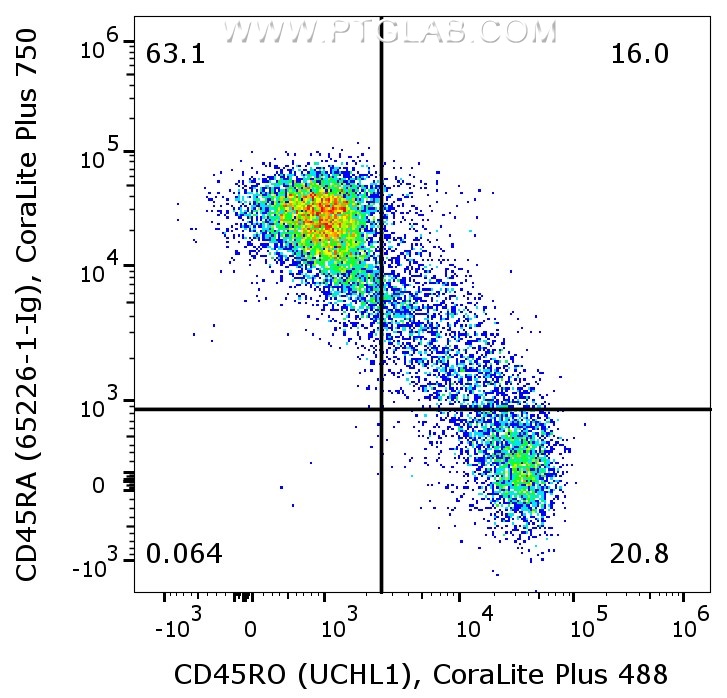 1X10^6 human PBMCs were surface co-stained with CoraLite® Plus 488 Anti-Human CD45RO (CL488-65150, Clone:UCHL1), and Anti-Human CD45RA (65226-1-Ig, Clone:F8-11-13) labeled with FlexAble 2.0 CoraLite® Plus 750 Kit (KFA524). Cells were not fixed. Lymphocytes were gated.