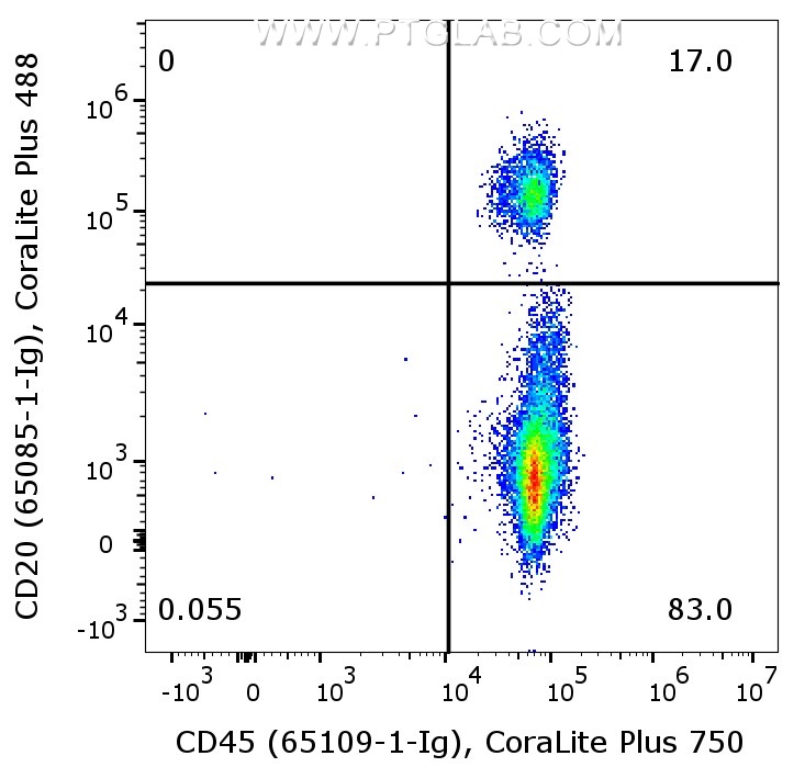 1X10^6 human PBMCs were surface co-stained with Anti-Human CD20 (65085-1-Ig, Clone:2H7) labeled with FlexAble 2.0 CoraLite® Plus 488 Kit (KFA561), and Anti-Human CD45 (65109-1-Ig, Clone:HI30) labeled with FlexAble 2.0 CoraLite® Plus 750 Kit (KFA524). Cells were not fixed. Lymphocytes were gated.