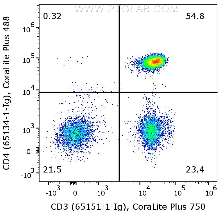 1X10^6 human PBMCs were surface co-stained with Anti-Human CD4 (65134-1-Ig, Clone:OKT4) labeled with FlexAble 2.0 CoraLite® Plus 488 Kit (KFA561), and Anti-Human CD3 (65151-1-Ig, Clone:UCHT1) labeled with FlexAble 2.0 CoraLite® Plus 750 Kit (KFA524). Cells were not fixed. Lymphocytes were gated.