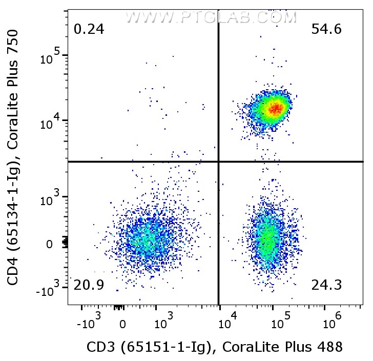 1X10^6 human PBMCs were surface co-stained with Anti-Human CD4 (65134-1-Ig, Clone:OKT4) labeled with FlexAble 2.0  CoraLite® Plus 750 Kit (KFA564), and Anti-Human CD3 (65151-1-Ig, Clone:UCHT1) labeled with FlexAble 2.0 CoraLite® Plus 488 Kit (KFA521). Cells were not fixed. Lymphocytes were gated.