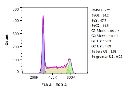 细胞周期的分析，以Jurkat细胞为例。
