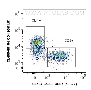 用Mouse Activated T Cell Panel（PK30013）对1x10^6 ConA刺激的小鼠脾细胞进行染色。散点图显示CD3+细胞上CD4和CD8的表达。细胞未固定。