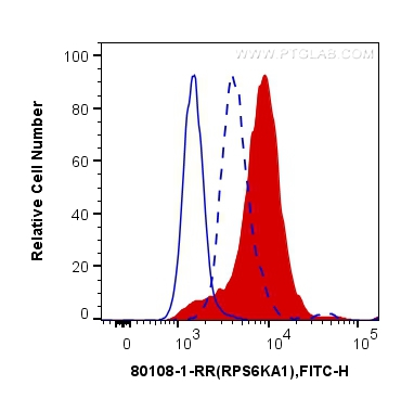 1X10^6 Jurkat cells untreated (dashed line) or treated with TPA treated (red) were intracellularly stained with 0.4 ug Anti-Human Phospho-RPS6KA1 (Ser380) (80108-1-RR, Clone:7F23) and CoraLite®488-Conjugated AffiniPure Goat Anti-Rabbit IgG(H+L) at dilution 1:1000 (red),  or 0.4 ug Control Antibody (blue). Cells were fixed and permeabilized with True-Nuclear Transcription Factor Buffer Set.