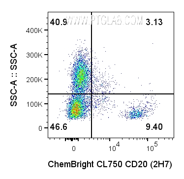 取1×10⁶个人外周血单个核细胞（PBMC），用0.5 ug经ChemBright CoraLite® Plus 750抗体标记试剂盒（货号：PK30034）标记的抗人CD20抗体（货号：65085-1-Ig，克隆号：2H7）进行细胞表面染色。细胞未进行固定。染色前使用Fc受体阻断剂处理细胞。圈选活细胞（PI⁻）中的淋巴细胞和单核细胞。