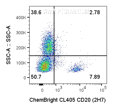 取1×10⁶个人外周血单个核细胞（PBMC），采用ChemBright CoraLite® Plus 405抗体标记试剂盒（货号：PK30035）标记的0.5 ug抗人CD20抗体（货号：65085-1-Ig，克隆号：2H7）进行细胞表面染色。细胞未经固定处理。染色前使用Fc受体阻断剂处理细胞。圈选活细胞（PI⁻）中的淋巴细胞与单核细胞。