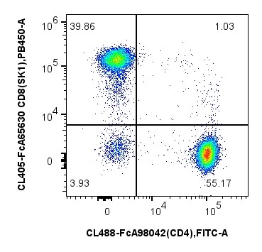 用FcZero-rAb® Human T Cell Basics Panel（PK30051）对1x10^6人外周血单核细胞进行染色。散点图显示CD45+CD3+CD19- T淋巴细胞上CD4和CD8的表达。细胞未固定。
