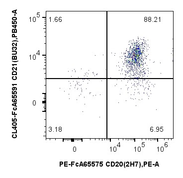 用FcZero-rAb® Human B Cell Basics Panel（PK30052）对1x10^6人外周血单核细胞进行染色。散点图显示CD45+CD3-CD19+ B淋巴细胞上CD20和CD21的表达。细胞未固定。