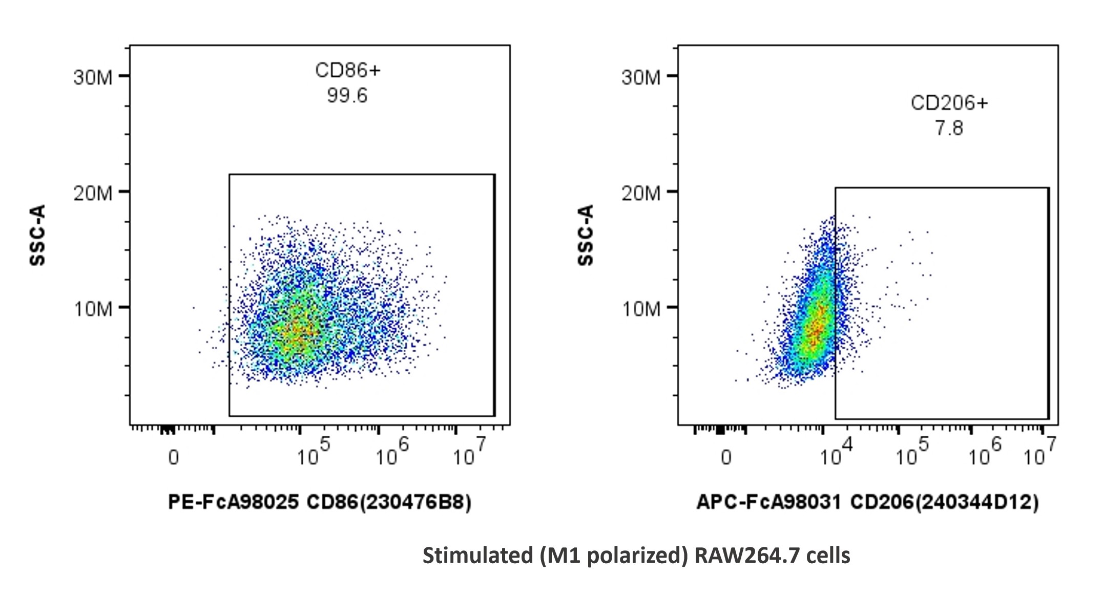 用FcZero-rAb™ FcZero-rAb® Mouse Macrophage Basics Panel（PK30055）对刺激诱导向M1型极化的RAW264.7细胞进行染色。散点图显示CD45+CD11b+F4/80+ 巨噬细胞上CD86和CD206的表达。细胞未固定。