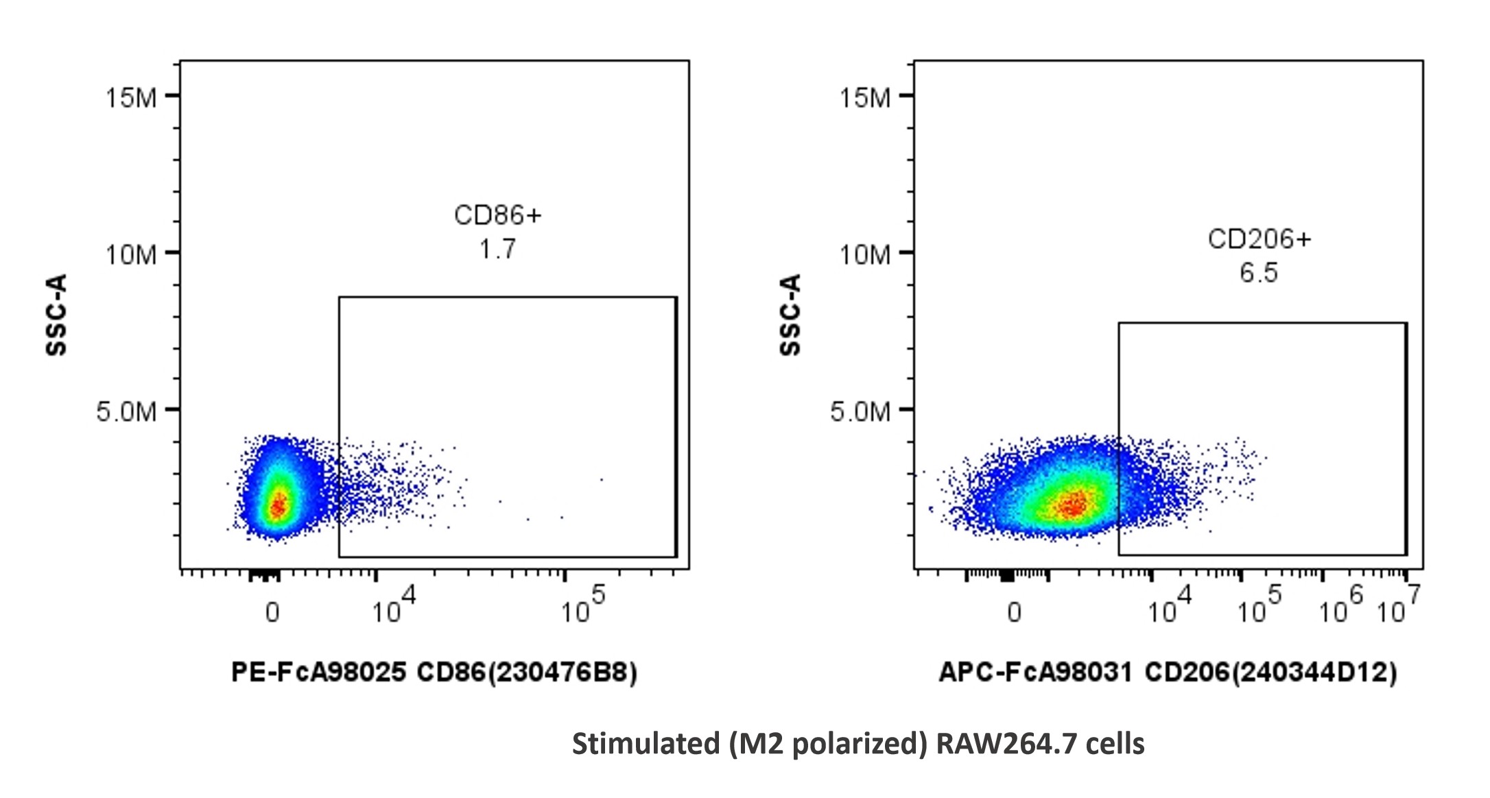 用FcZero-rAb™ FcZero-rAb® Mouse Macrophage Basics Panel（PK30055）对刺激诱导向M2型极化的RAW264.7细胞进行染色。散点图显示CD45+CD11b+F4/80+ 巨噬细胞上CD86和CD206的表达。细胞未固定。