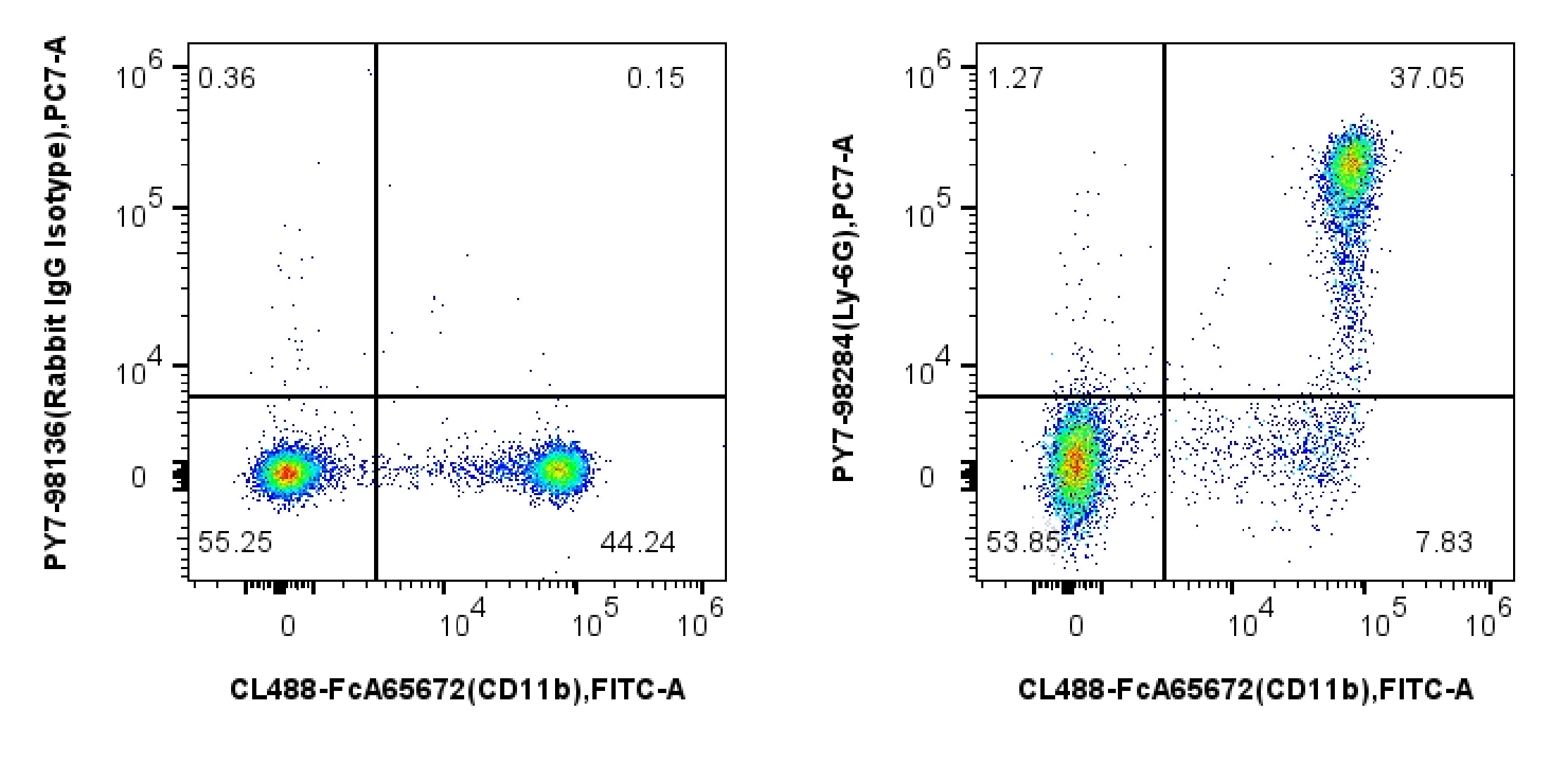 1x10^6 mouse bone marrow cells were surface stained with FcZero-rAb™ CoraLite® Plus 488 Anti-Mouse CD11b (M1/70), and 0.1 ug PE-Cyanine7 Anti-Mouse Ly-6G Rabbit RecAb (PY7-98284, Clone: 242141B11) or PE-Cyanine7 Rabbit IgG Isotype Control Recombinant Antibody (PY7-98136, Clone: 240953C9). Cells were incubated with MonoZero™ Monocytes blocking Reagent (PF00020) prior to staining. Cells were not fixed. 1x10^6 mouse bone marrow cells were surface stained with FcZero-rAb™ CoraLite® Plus 488 Anti-Mouse CD11b (M1/70), and 0.1 ug PE-Cyanine7 Anti-Mouse Ly-6G Rabbit RecAb (PY7-98284, Clone: 242141B11) or PE-Cyanine7 Rabbit IgG Isotype Control Recombinant Antibody (PY7-98136, Clone: 240953C9). Cells were incubated with MonoZero™ Monocytes blocking Reagent (PF00020) prior to staining. Cells were not fixed.