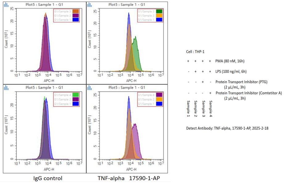 1X10^6 cells were intracellularly stained with 0.4 ug Anti-Human TNF-alpha antibody (17590-1-AP) and Multi-rAb™ CoraLite® Plus 647-Goat Anti-Rabbit Recombinant Secondary Antibody (H+L), or 0.4 ug Isotype Control. Cells were fixed with 4% PFA and permeabilized with 0.2% Triton.
Sample 1: THP-1 cells were treated with 80 nM PMA overnight.
Sample 2: THP-1 cells were treated with 80 nM PMA overnight, replaced the culture medium with 100 ng/mL LPS for 6 hours.
Sample 3: THP-1 cells were treated with 80 nM PMA overnight, replaced the culture medium with 100 ng/mL LPS for 6 hours with addition of 2 uL/mL Protein Transport Inhibitor (PTG) for the last 3 hours.
Sample 4: THP-1 cells were treated with 80 nM PMA overnight, replaced the culture medium with 100 ng/mL LPS for 6 hours with addition of 2 uL/mL Protein Transport Inhibitor (Competitor A) for the last 3 hours. 1X10^6 cells were intracellularly stained with 0.4 ug Anti-Human TNF-alpha antibody (17590-1-AP) and Multi-rAb™ CoraLite® Plus 647-Goat Anti-Rabbit Recombinant Secondary Antibody (H+L), or 0.4 ug Isotype Control. Cells were fixed with 4% PFA and permeabilized with 0.2% Triton.
Sample 1: THP-1 cells were treated with 80 nM PMA overnight.
Sample 2: THP-1 cells were treated with 80 nM PMA overnight, replaced the culture medium with 100 ng/mL LPS for 6 hours.
Sample 3: THP-1 cells were treated with 80 nM PMA overnight, replaced the culture medium with 100 ng/mL LPS for 6 hours with addition of 2 uL/mL Protein Transport Inhibitor (PTG) for the last 3 hours.
Sample 4: THP-1 cells were treated with 80 nM PMA overnight, replaced the culture medium with 100 ng/mL LPS for 6 hours with addition of 2 uL/mL Protein Transport Inhibitor (Competitor A) for the last 3 hours.