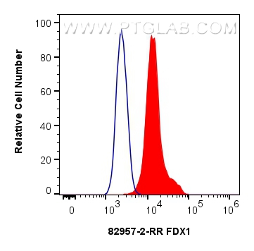 FC experiment of A431 using 82957-2-RR