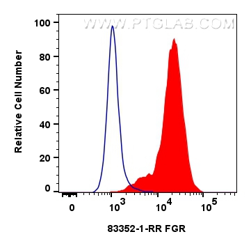 FC experiment of Raji using 83352-1-RR (same clone as 83352-1-PBS)