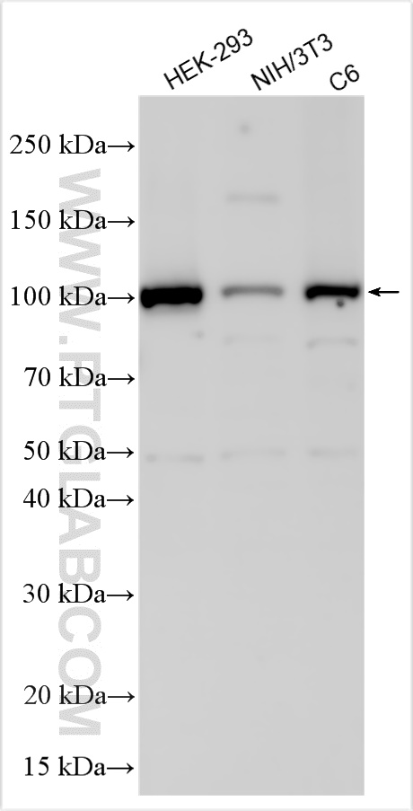 FIG4