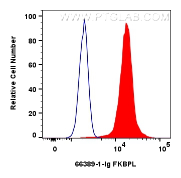 FC experiment of HeLa using 66389-1-Ig