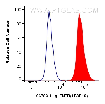 FC experiment of A431 using 66783-1-Ig