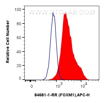 FC experiment of HeLa using 84681-1-RR (same clone as 84681-1-PBS)