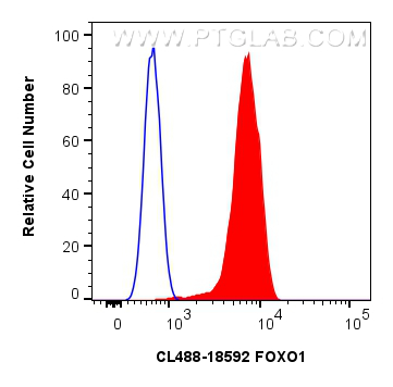 FC experiment of MOLT-4 using CL488-18592