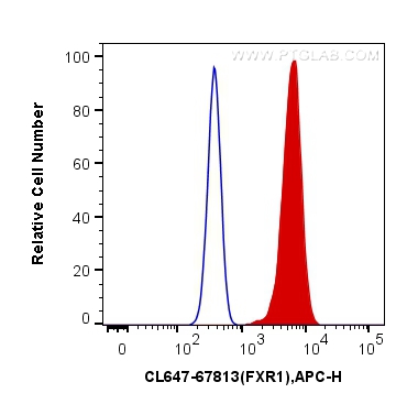 FC experiment of HeLa using CL647-67813