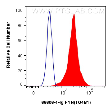 FC experiment of HeLa using 66606-1-Ig