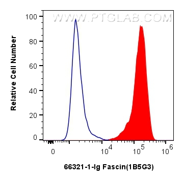 FC experiment of SH-SY5Y using 66321-1-Ig