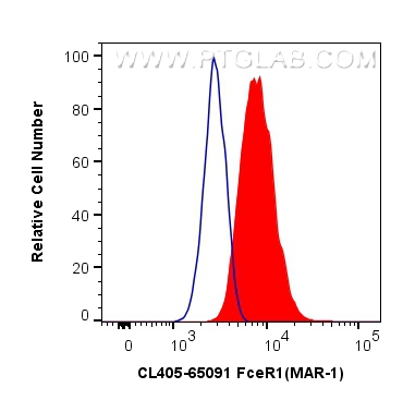 FC experiment of MC/9 using CL405-65091