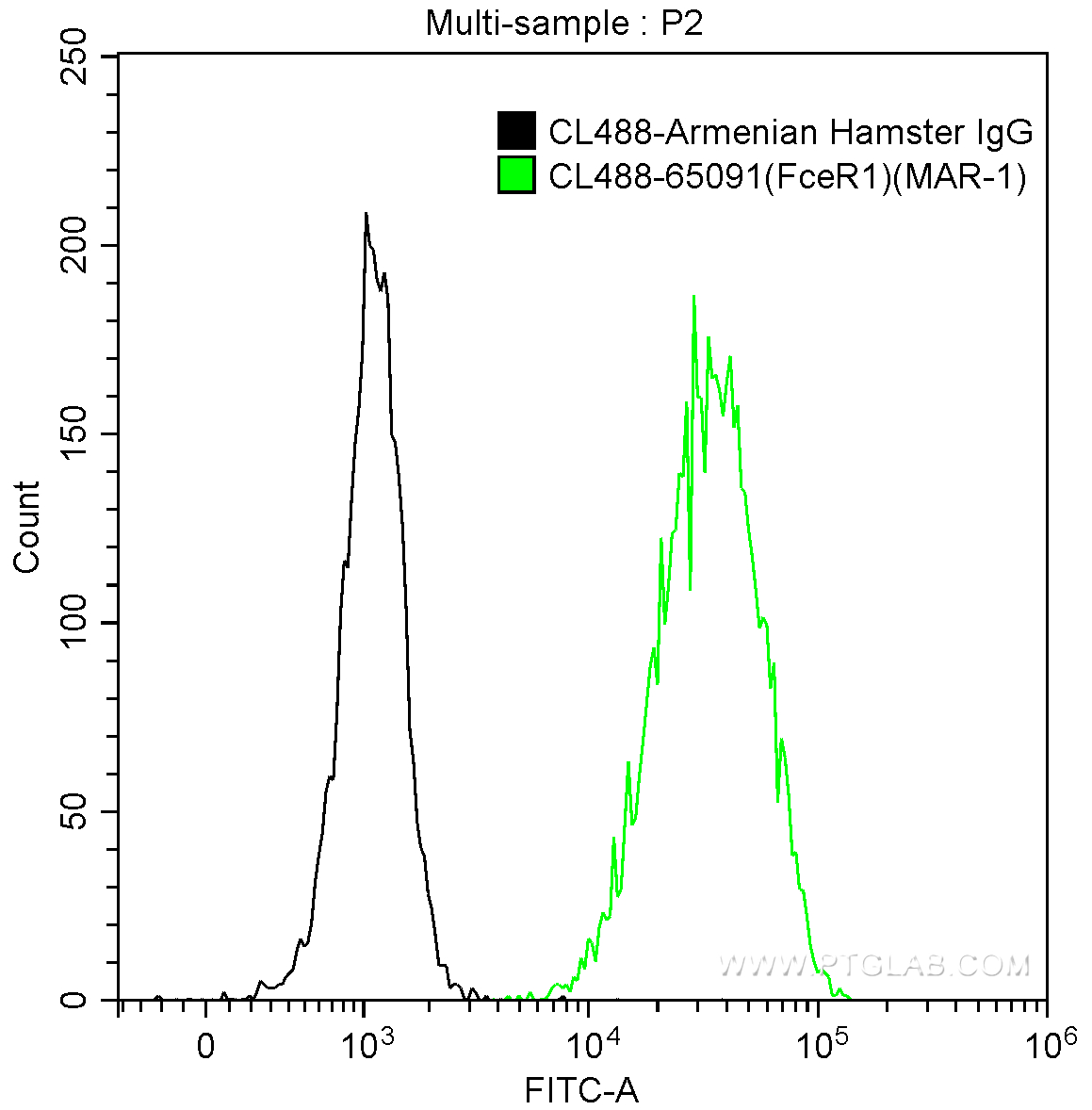 FC experiment of MC/9 using CL488-65091