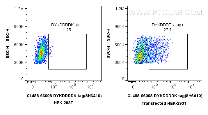 FC experiment of Transfected HEK-293T using CL488-66008