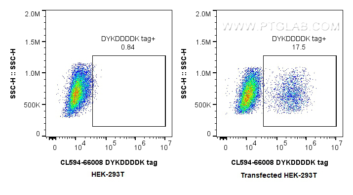 FC experiment of Transfected HEK-293T using CL594-66008