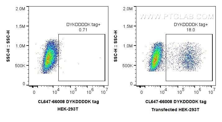 FC experiment of Transfected HEK-293T using CL647-66008