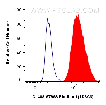 FC experiment of Raji using CL488-67968