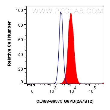 FC experiment of HeLa using CL488-66373