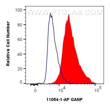 FC experiment of HepG2 using 11054-1-AP