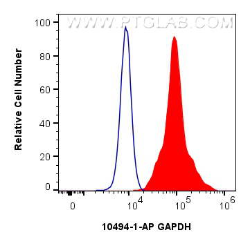 FC experiment of HEK-293 using 10494-1-AP