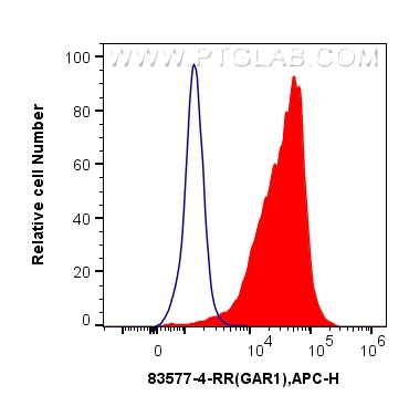 FC experiment of K562 using 83577-4-RR