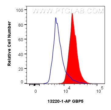 FC experiment of MCF-7 using 13220-1-AP