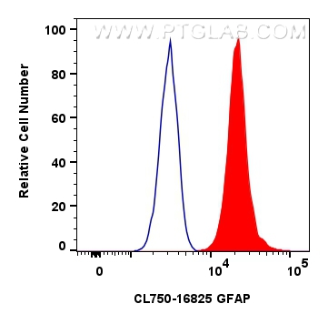 FC experiment of U-251 using CL750-16825