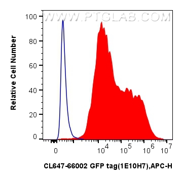FC experiment of Transfected HEK-293 using CL647-66002
