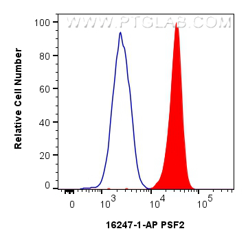 FC experiment of Jurkat using 16247-1-AP