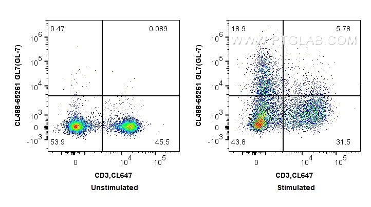 FC experiment of Balb/c mouse splenocytes using CL488-65261