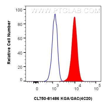 FC experiment of HeLa using CL750-81486