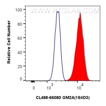 GM2A