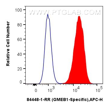 FC experiment of HeLa using 84448-1-RR (same clone as 84448-1-PBS)