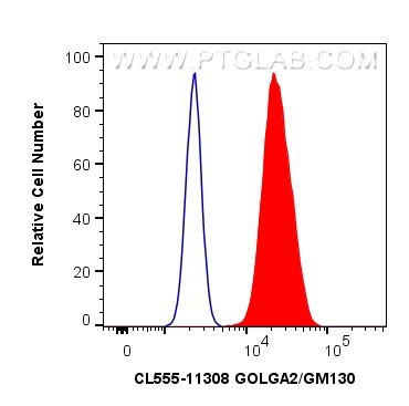 FC experiment of HepG2 using CL555-11308