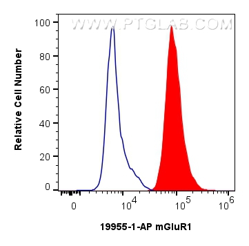 FC experiment of SH-SY5Y using 19951-1-AP