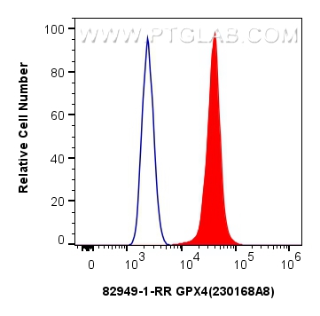 FC experiment of HeLa using 82949-1-RR (same clone as 82949-1-PBS)
